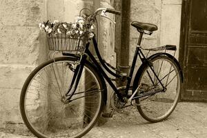 Tablou bicicletă rustică în design sepia
