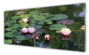 Panou sticla bucatarie Lacul Petale Floral Roz Verde