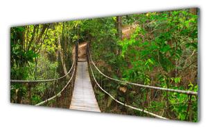Tablouri acrilice Podul Natural Pădurea Verde Maro