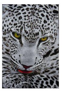 Covor Kolibri Leopard, 160x230 cm
