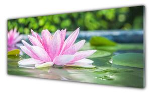 Tablou pe sticla Water Flower Art Roz Verde