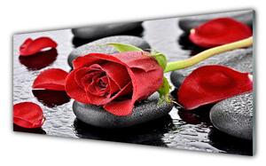 Panou sticla bucatarie Rose pietre Floral Roșu Gri