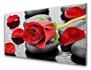 Panou sticla bucatarie Rose pietre Floral Roșu Gri