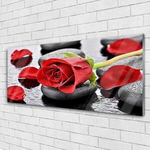 Tablou pe sticla Rose pietre Floral Roșu Gri