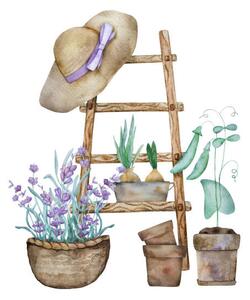 Ilustrare Beautiful lavender provence watercolor illustration, VYCHEGZHANINA, (40 x 40 cm)
