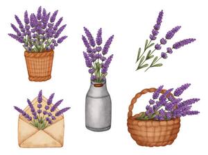Ilustrare Set watercolor lavender bouquet in bucket,, Evgeniya Sheydt, (40 x 30 cm)