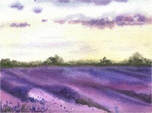 Ilustrare Watercolor lavender field, hand drawn Provencal, Elena Dorosh, (40 x 30 cm)