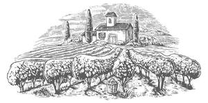 Ilustrație Rural landscape with villa, vineyard fields, DenPotisev