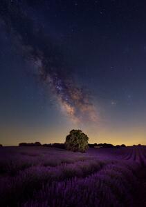 Fotografie de artă Milky Way dreams, Carlos Hernandez Martinez, (26.7 x 40 cm)