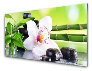 Tablou pe sticla Bambus Tulpini flori Stones Floral Verde Alb Negru