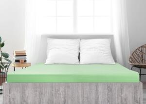 Cearsaf Jersey din bumbac mako LUXORA 180x200 cm verde deschis