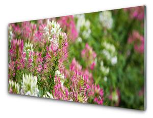 Tablou pe sticla Flori Floral Roz Alb Verde