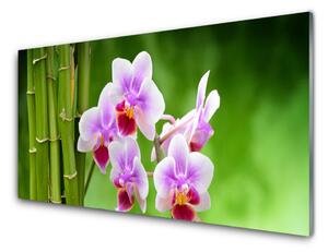 Panou sticla bucatarie Bamboo Tube Flori Floral Verde Roz