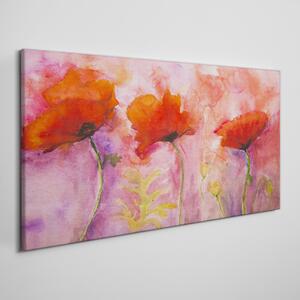Tablou canvas Flori de maci roșii