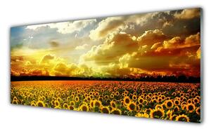 Tablou pe sticla Meadow Sunflowers Floral Galben Maro