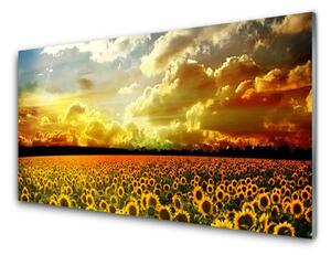 Panou sticla bucatarie Meadow Sunflowers Floral Galben Maro