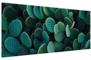 Tablou - Opuntia (120x50 cm)