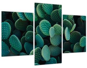 Tablou - Opuntia (90x60 cm)