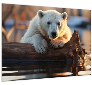 Tablou - Ursul polar (70x50 cm)