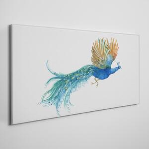Tablou canvas animal pasăre păun