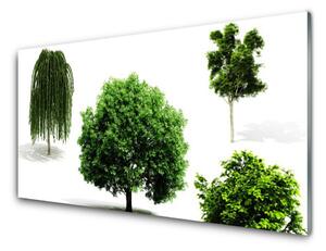 Tablouri acrilice Copaci Natura Brun Verde