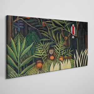 Tablou canvas Maimuțe animale pădure