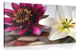 Tablou flori în castron cu pietre Zen