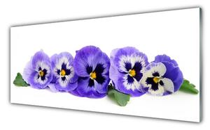 Tablou pe sticla Petale Floral Alb Violet Verde