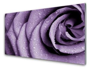 Panou sticla bucatarie Rose Floral violet
