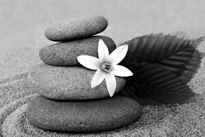 Tablou floare și pietre în nisip în design alb-negru