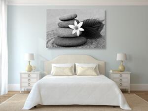 Tablou floare și pietre în nisip în design alb-negru