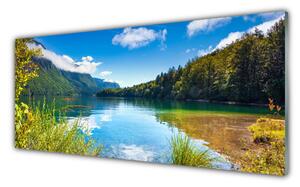 Tablou pe sticla Mountain Lake Forest Natura Verde Albastru