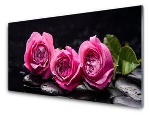 Tablou pe sticla Trandafiri pietre Floral Rosu Negru