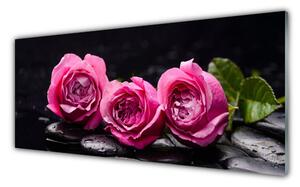 Panou sticla bucatarie Trandafiri pietre Floral Rosu Negru