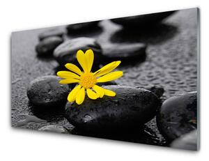 Tablou pe sticla Pietrele de flori Arta Galben Negru