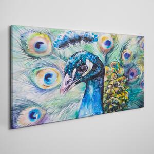 Tablou canvas pictura animale pasăre păun