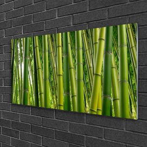 Tablou pe sticla Bamboo Tulpini Floral Verde