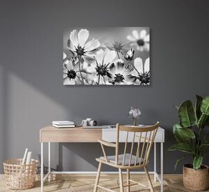 Tablou flori de vară în design alb-negru