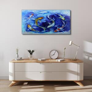Tablou canvas Pește Koi Animal de apă