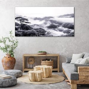 Tablou canvas ceață pădure munți