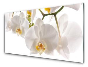 Panou sticla bucatarie Flori Floral alb