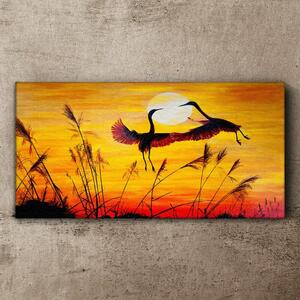 Tablou canvas animale păsări apus de soare