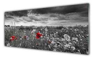 Tablou pe sticla Flori Meadow Natura Gri Roșu