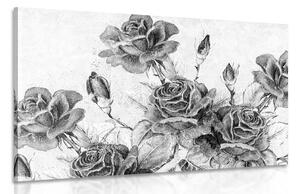 Tablou buchetul de trandafiri vintage în design alb-negru