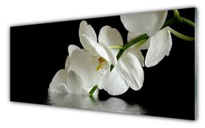 Panou sticla bucatarie Flori Floral alb