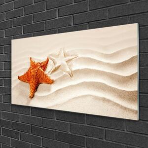 Tablou pe sticla Starfish Sand Art Orange Alb Brun