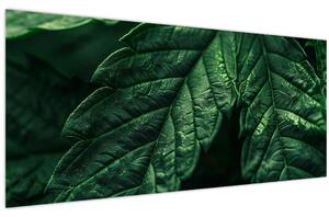 Tablou - Detaliu al foii (120x50 cm)