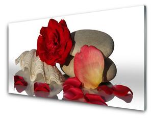 Panou sticla bucatarie Rose Conch pietre Art Roșu Alb Gri