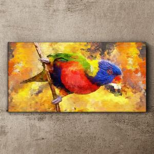 Tablou canvas papagal pasăre ramură animală