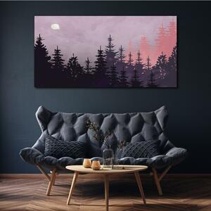 Tablou canvas cerul pădurii lună